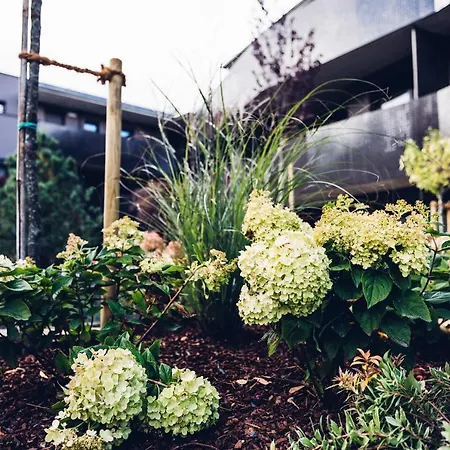 Alp Living Self-check In Apartment