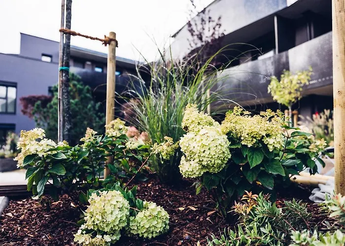 Alp Living Self-check In Apartmán